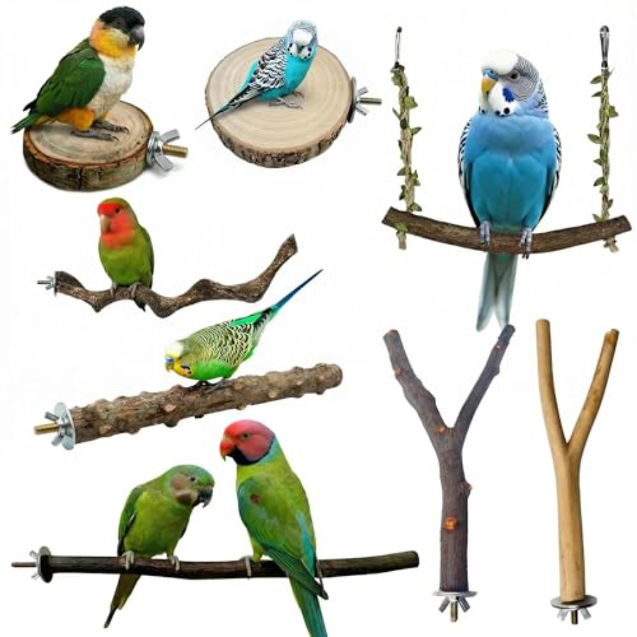 Health & Wellness Waiver Indiana - 8PCS tempat bertengger burung dari kayu